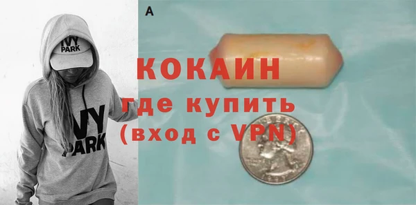 круглые Тайга